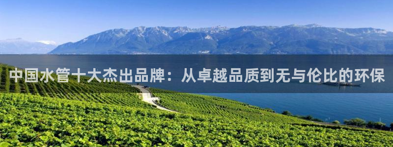 楚雄众腾娱乐