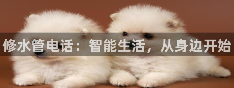 众腾娱乐总代理