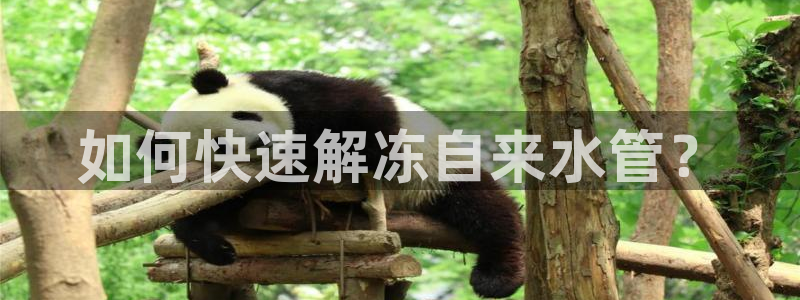 众腾娱乐app