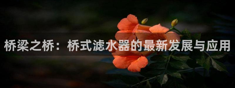 腾众娱乐是个啥