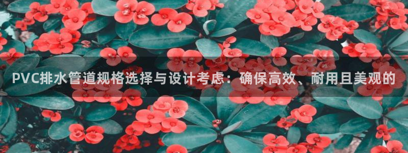 众腾娱乐发7O777