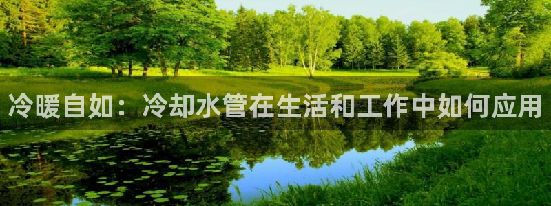 楚雄众腾娱乐是干什么的