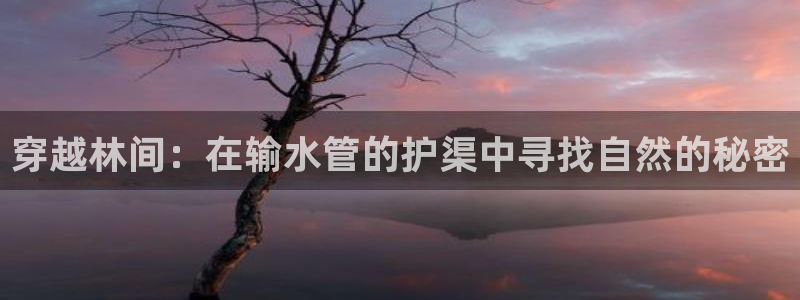 腾众娱乐是个啥