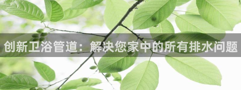 腾众竞技娱乐