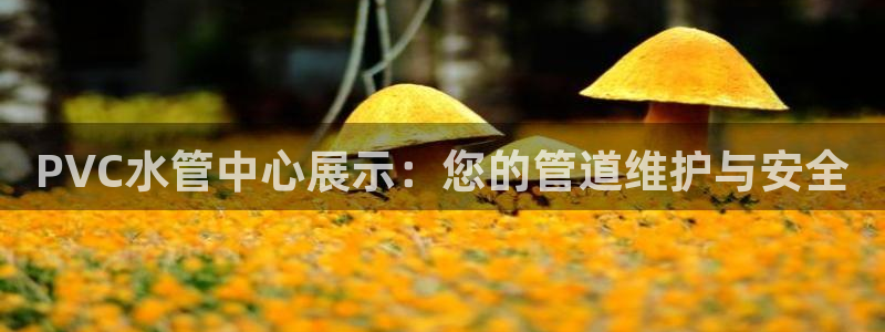 包头众腾娱乐密室逃脱