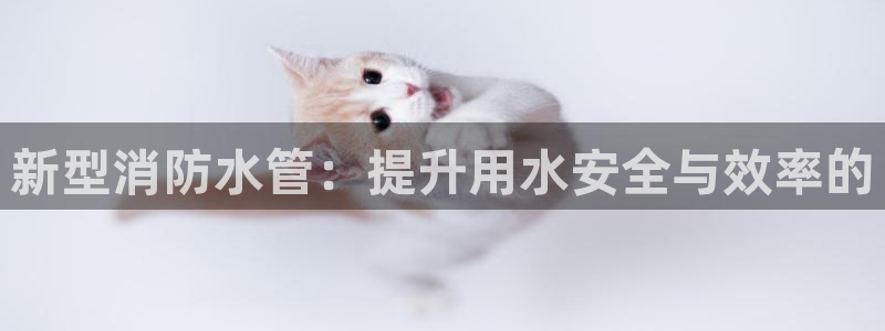 腾众娱乐是个啥