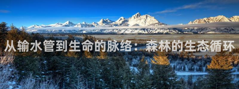 众腾娱乐公司简介