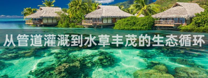 彝族自治州众腾娱乐