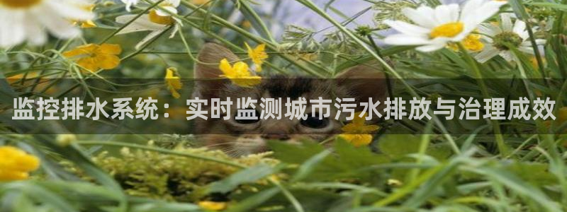 腾众娱乐