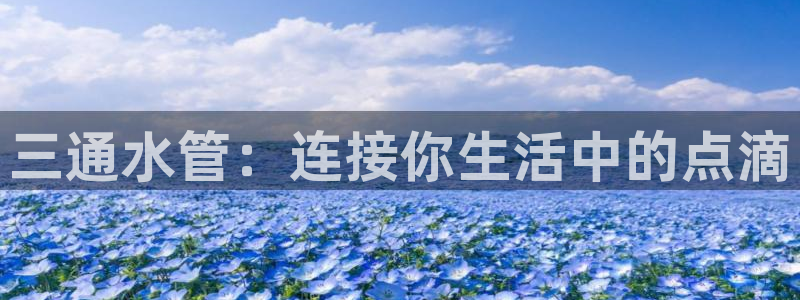 众腾娱乐集团有限公司