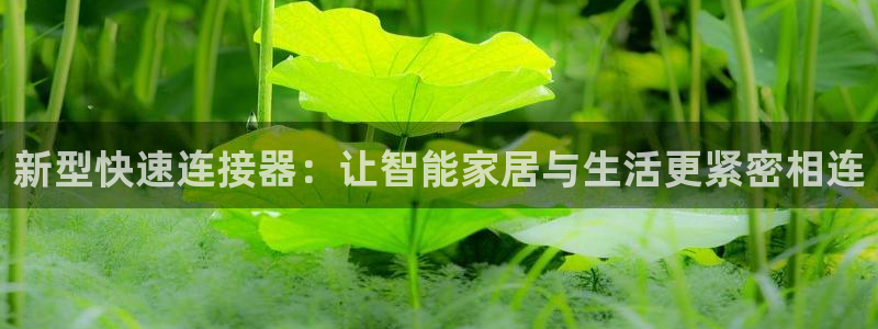 岳阳众腾ktv娱乐