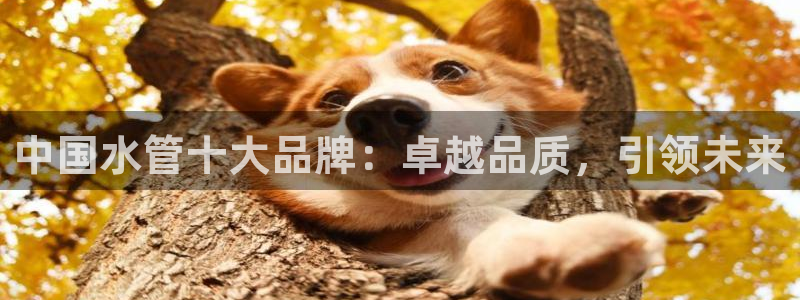 众腾娱乐扣款是正规的吗