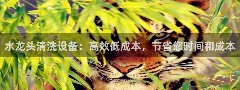 众腾娱乐招商
