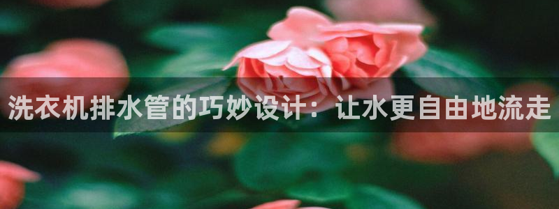 众腾娱乐平台群7O777