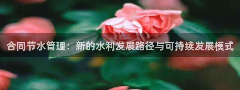 众腾娱乐梦幻演艺店