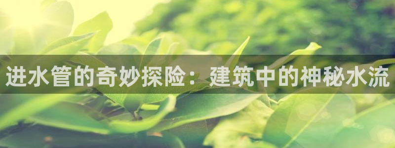 腾耀娱乐29999出众