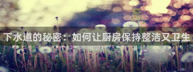 众腾娱乐平台官网入口