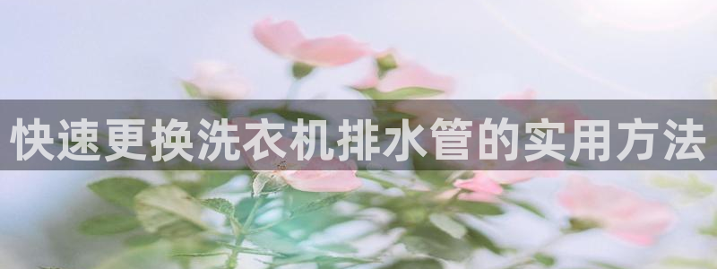 众腾娱乐平台