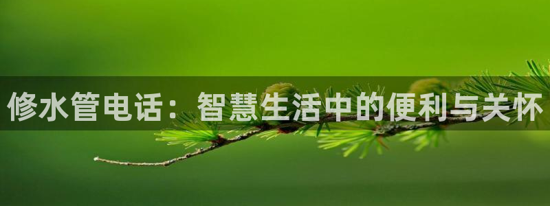 众腾娱乐开户
