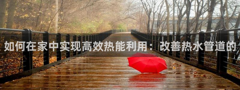 众腾娱乐总代理