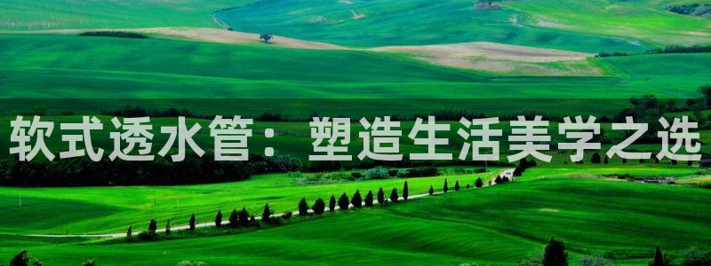 腾众娱乐彩票