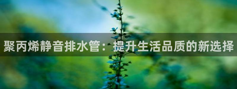 众腾娱乐公司简介