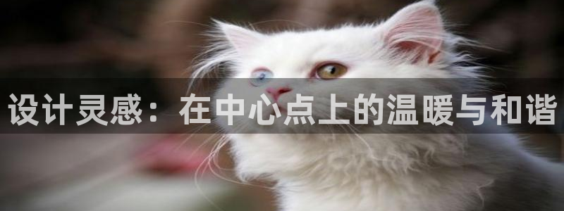 云南众腾娱乐