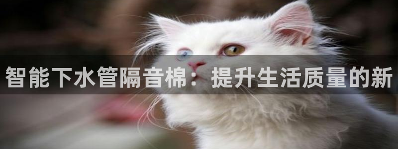 众东腾娱乐客服