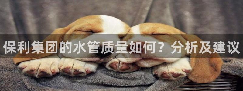 岳阳众腾ktv娱乐