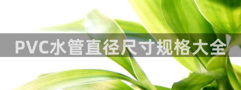 众腾娱乐总代理