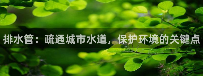 众腾娱乐平台下载