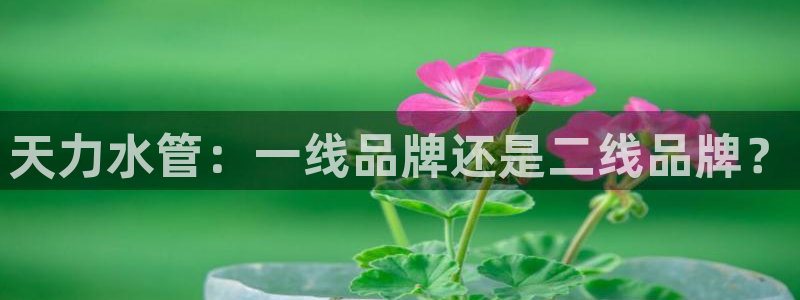腾耀娱乐众320059
