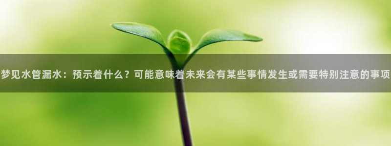 众腾娱乐平台官网入口