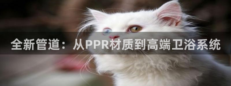 内蒙古众腾娱乐文化法人