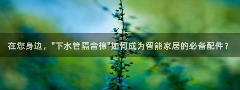 楚雄众腾娱乐在哪里