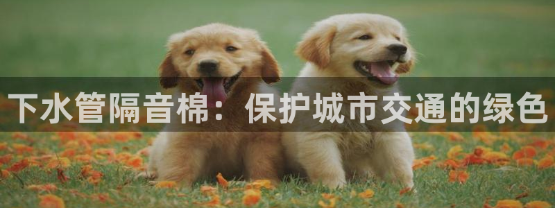 众腾娱乐官方客服电话