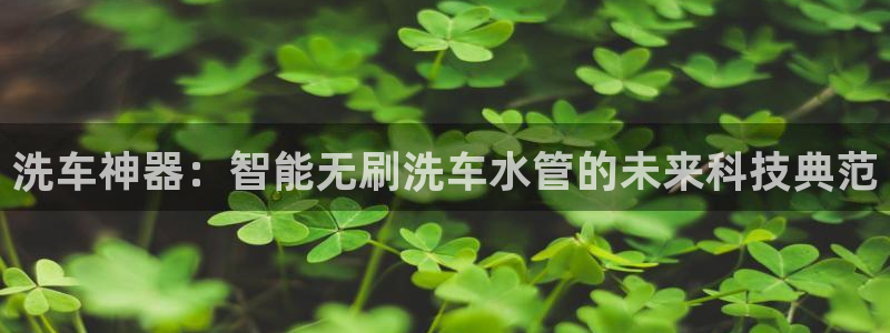 彝族自治州众腾娱乐