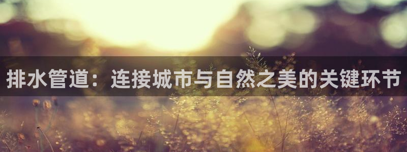 楚雄众腾娱乐