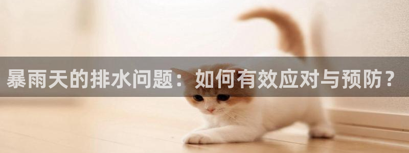 众腾娱乐梦幻演艺店