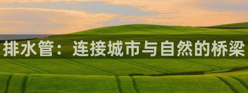 众腾娱乐梦幻演艺店