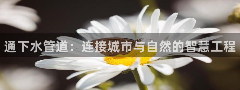 众腾娱乐博彩