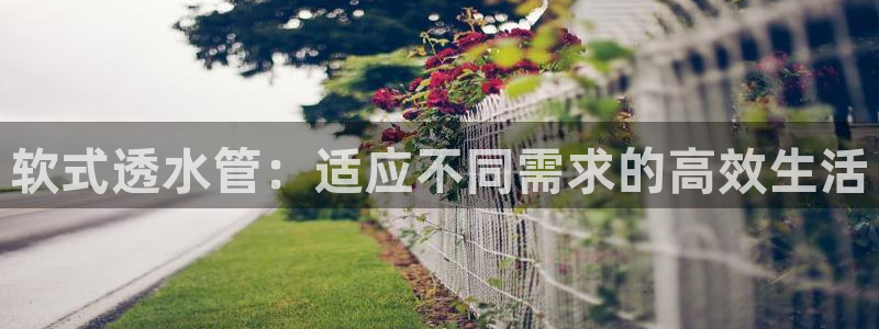众腾娱乐平台官网入口