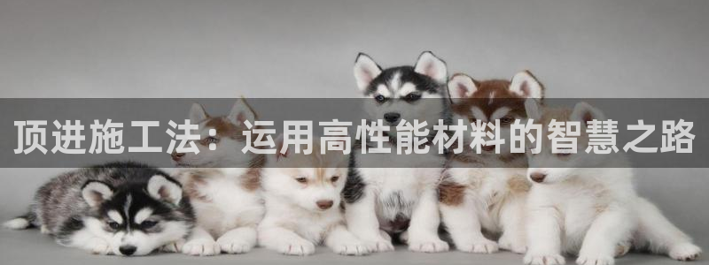 众腾娱乐平台下载