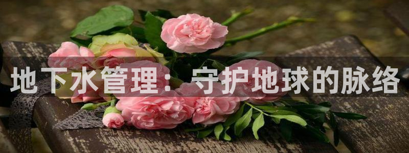 众腾娱乐平台