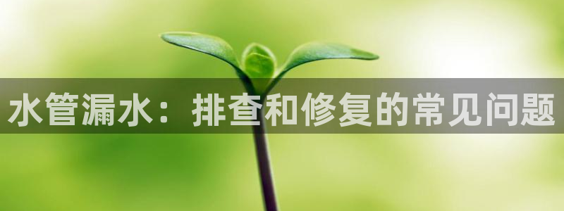 众腾娱乐梦幻演艺店