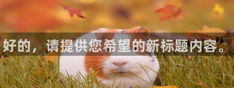 楚雄众腾娱乐在哪里