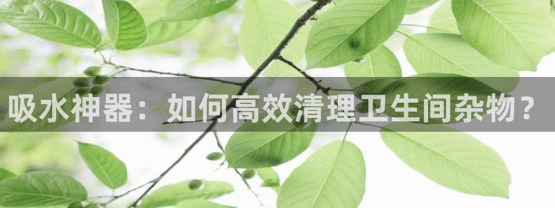 腾耀娱乐众推99840