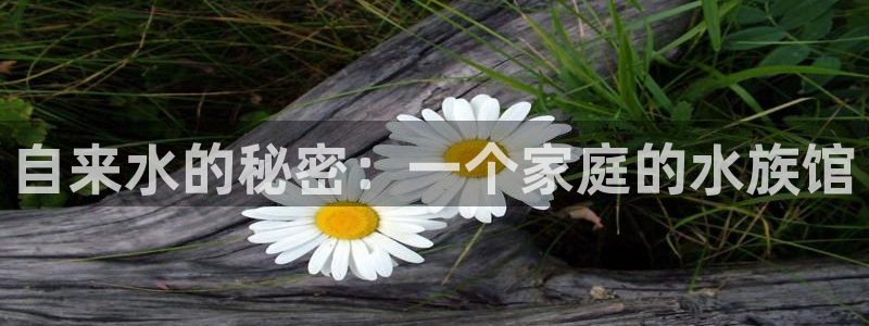 众腾娱乐集团有限公司