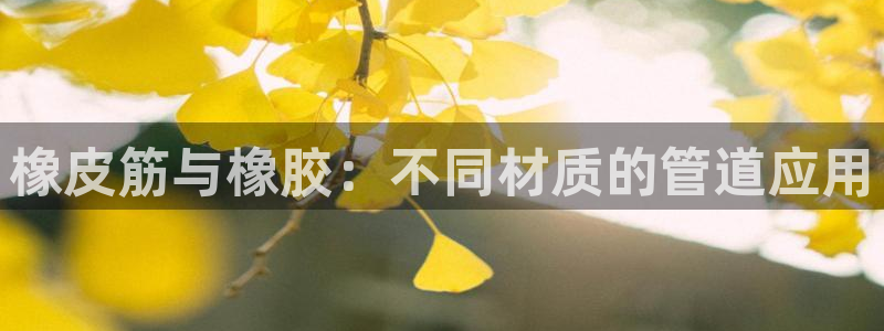 楚雄众腾娱乐在哪里