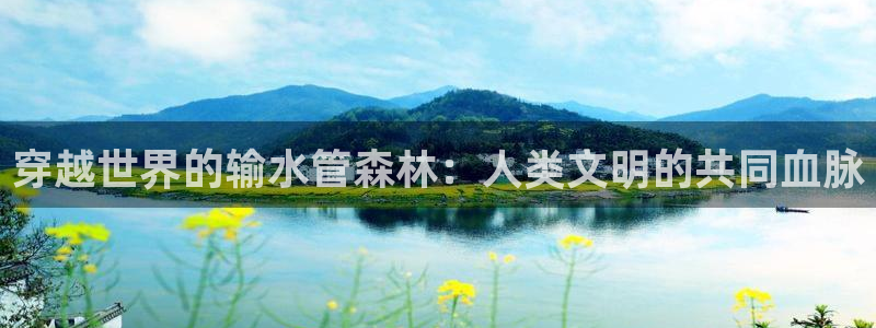 众联别墅g座上腾娱乐有限公司